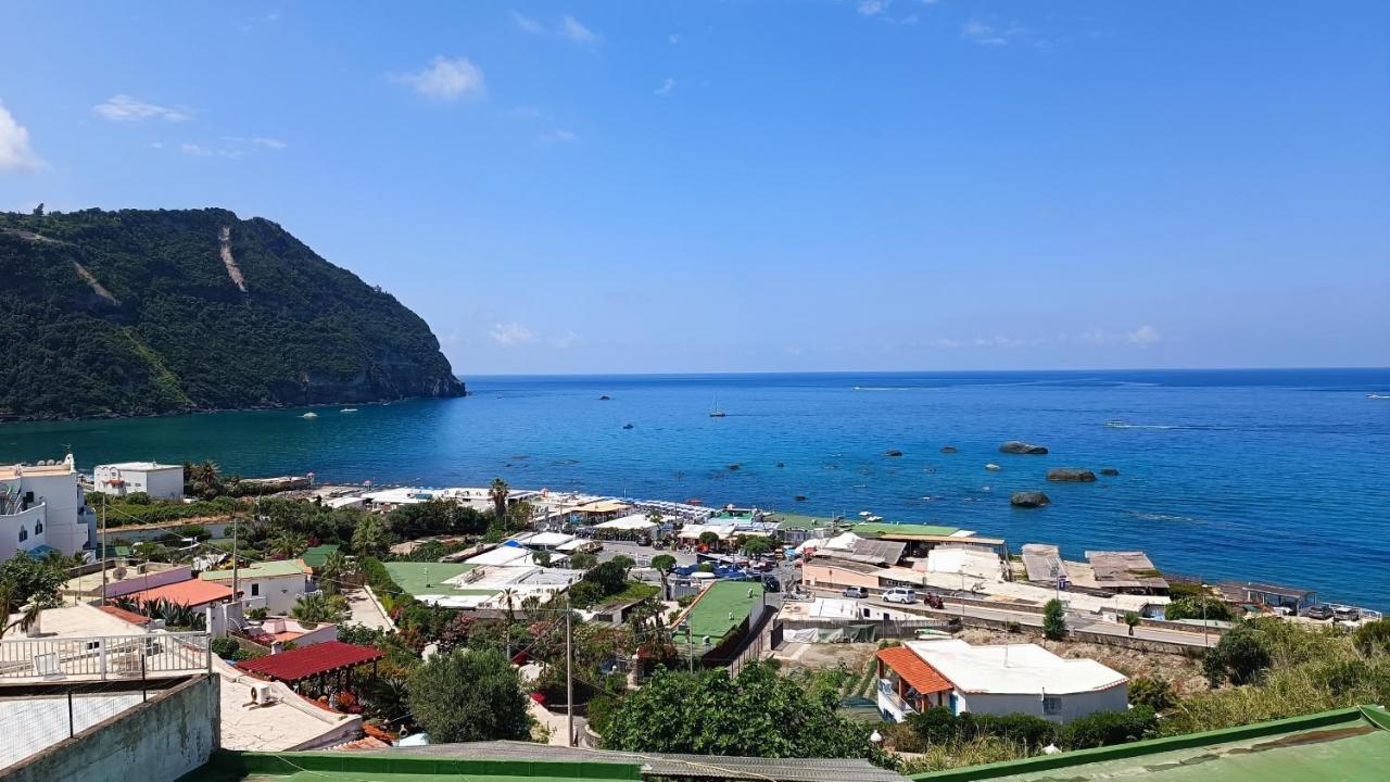La Dea Del Mare Apartment Forio di Ischia Екстериор снимка